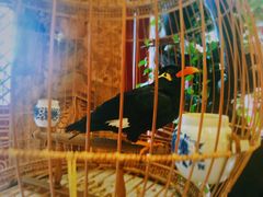 -兴盛德·麻辣花生大王·老店(中山路店)
