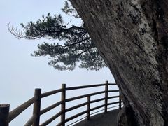 -明月山风景名胜区