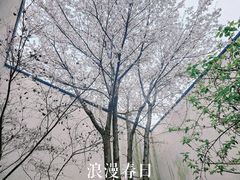 -费孝通江村纪念馆