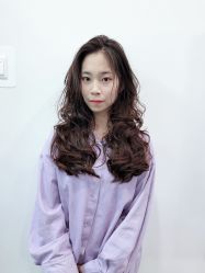 -东晨宝格丽品质造型