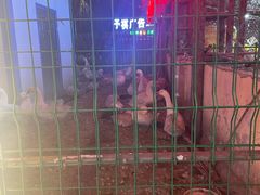 -鱼窝棚柴火铁锅炖(富山屯店)