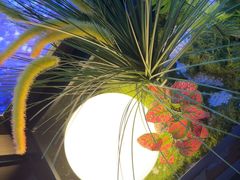 -水秀坊·足道 SPA (巨鹿店)