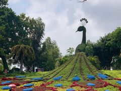 -松山湖南湖湾露营营地