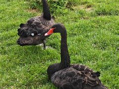 -长春市南湖公园