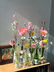 -美肤盾祛痘·问题肌头疗管理中心