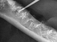 -惠康宠物医院(华能路店)