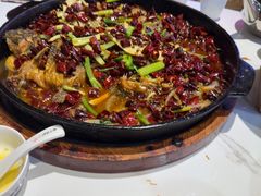 -老板恋上鱼(高新万达店)