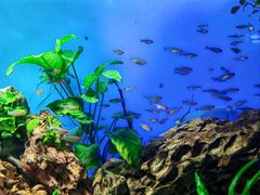 -太平洋海底世界