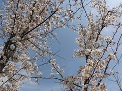 -贵阳市花溪国家城市湿地公园