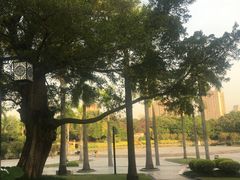 -南宁南湖公园