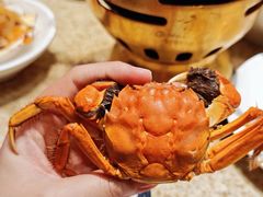 -初色海鲜自助(万丰路店)