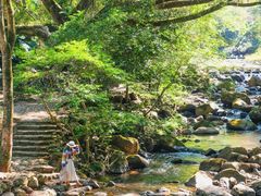 -广州市石门国家森林公园