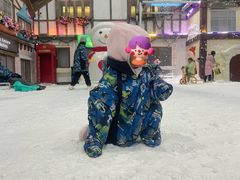 -世界之窗阿尔卑斯冰雪世界