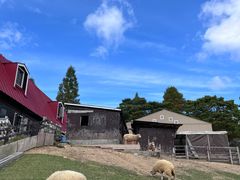 -神户市立六甲山牧场