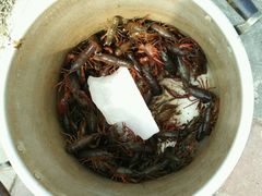 android_upload_pic-上海滴水湖皇冠假日酒店