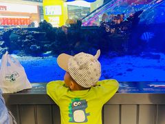 -凯德广场(学府店)