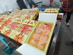 -南汇水蜜桃采摘(大团店)
