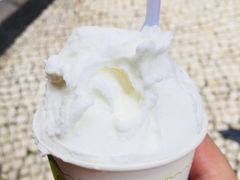 -柠檬车露(卖草地店)