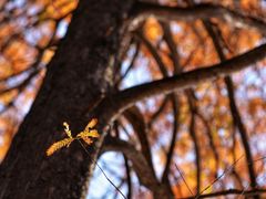 -华南国家植物园-售票处