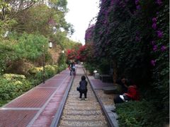 iphone_upload_pic-铁路文化公园