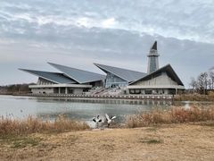 -盐城丹顶鹤湿地生态旅游区