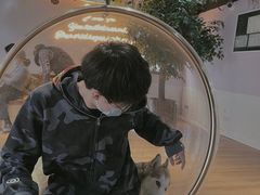 -Husky Go! 哈士奇体验馆·宠物咖啡厅狗咖