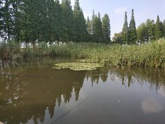 -太湖湖滨国家湿地公园-停车场