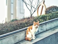 -UNIUNI(凯瑟琳广场店)