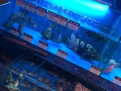-协成海鲜火锅(海洋花园店)