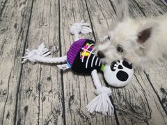 -翊宠yipet猫狗购宠庄园犬舍•猫舍