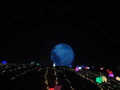 -八大山人梅湖景区