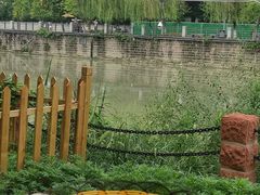 -成都市活水公园