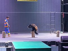 -梦幻奥陶纪景区