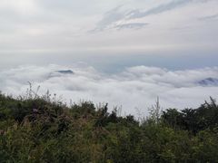 -白草畔自然风景区