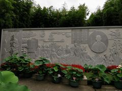 -陈家山荷花公园