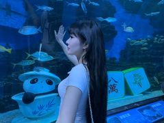 -海合安成都极地海洋公园
