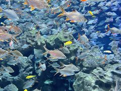 -成都浩海立方海洋公园