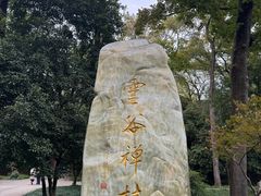 -灵谷景区