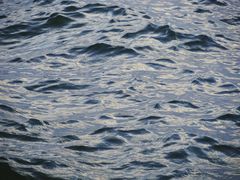 -东钱湖小普陀景区