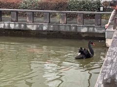 -天目湖涵田半山温泉水乐园