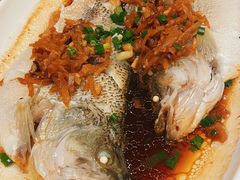 葱油鲈鱼-新白鹿餐厅(京基KK ONE店)
