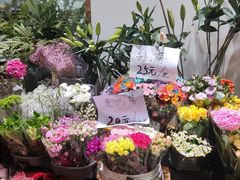 -双季花艺园艺市场(浦东店)