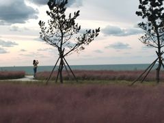 -那香海钻石沙滩浴场