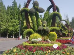 -东平国家森林公园