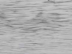 -嘉定凯悦·咖啡厅