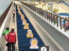 -哈尔滨热雪奇迹