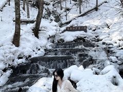 -峡谷浮石林景区