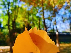 -杨裕兴(岳麓山店)