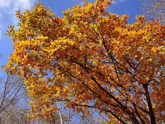 -道须沟旅游风景区