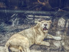 -西安秦岭野生动物园